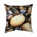 Fondo 26 x 26 in. Beach Pebbles-Double Sided Print Indoor Pillow FO2776788